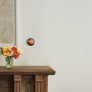 Nest thermostat